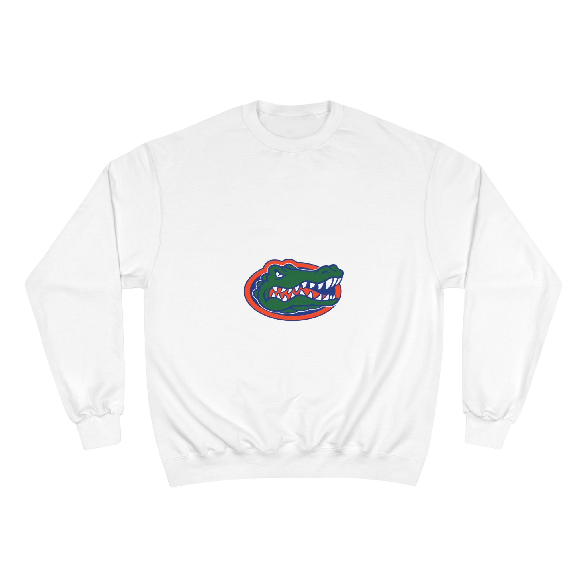 Featured image for “Florida Gators Champion Sweatshirt”